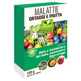 Frutti e ortaggi